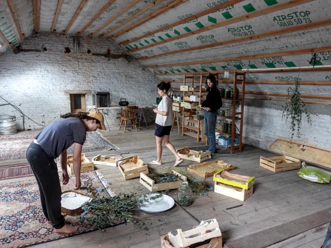 Attic