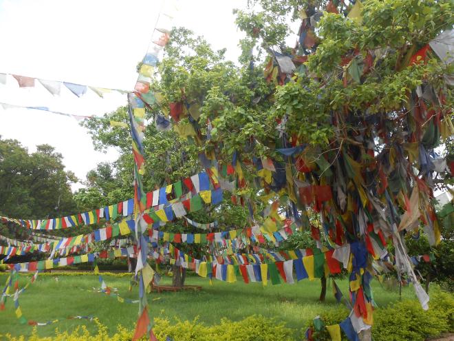 Prayer flags