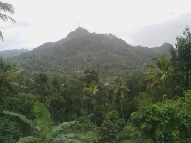On the bus towards Munnar